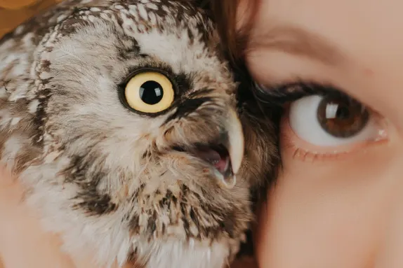 Kazino MR Fortune Atbalsts